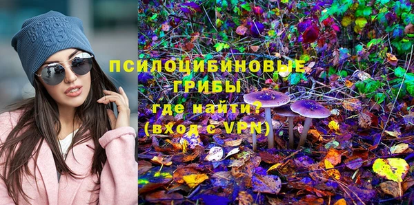 ALPHA-PVP Алексеевка