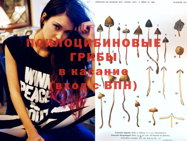 кокс Алзамай