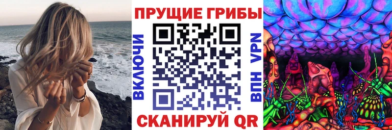 kraken маркетплейс  Багратионовск  Псилоцибиновые грибы Psilocybe  цены наркотик 